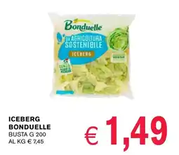 D'Italy Iceberg bonduelle busta offerta