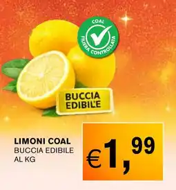 D'Italy Limoni COAL offerta