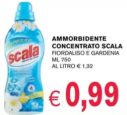D'Italy Ammorbidente concentrato SCALA offerta