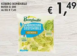 Coal Iceberg BONDUELLE offerta