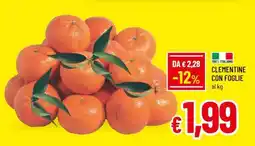 Famila Clementine con foglie offerta
