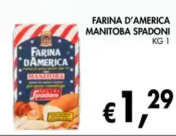 èccoMI Farina d'america manitoba spadoni offerta