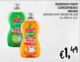 èccoMI Detersivo piatti concentrato NELSEN offerta