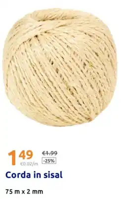 Action Corda in sisal offerta