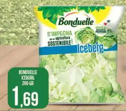 Euroesse Bonduelle iceberg offerta