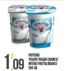Euroesse Vipiteno yogurt magro bianco/ intero frutta/bianco offerta
