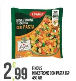 Euroesse Findus minestrone con pasta igp offerta