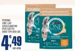 Splendidi e Splendenti Purina one cat croccantini per gatto offerta