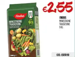 Carico Cash & Carry Findus minestrone tradizione offerta