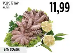 Carico Cash & Carry Polpo T7 iwp offerta