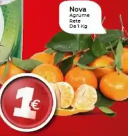 Supermercato Fratelli Scotto Nova Agrume Rete offerta