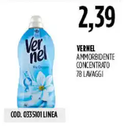 Carico Cash & Carry Vernel ammorbidente concentrato offerta