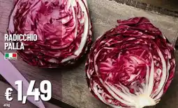 Galassia Radicchio palla offerta