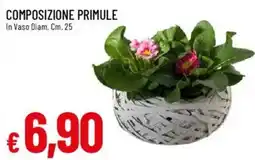Galassia Composizione primule offerta