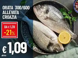 Galassia Orata 300/600 allevata croazia offerta