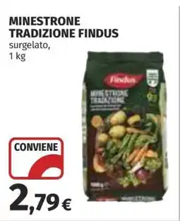 Coop MINESTRONE TRADIZIONE FINDUS offerta