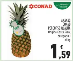 Conad ANANAS CONAD PERCORSO QUALITÀ offerta