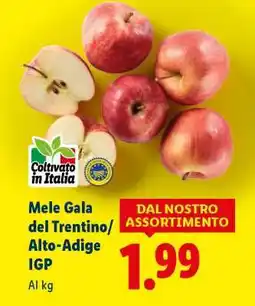 Lidl Mele Gala del Trentino/Alto-Adige IGP offerta