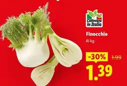 Lidl Finocchio offerta