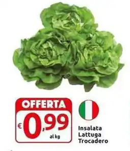 Carrefour Express Insalata Lattuga Trocadero offerta