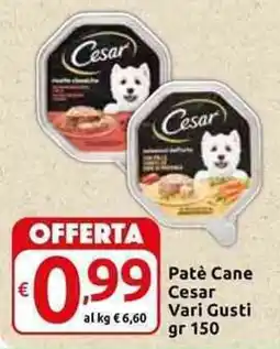 Carrefour Express Patè Cane Cesar offerta