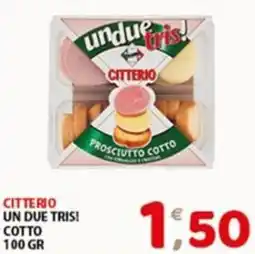 Mio Market Citterio un due tris! cotto offerta
