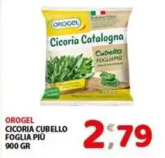 Mio Market Orogel cicoria cubello foglia più offerta