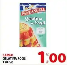 Mio Market Cameo gelatina fogli offerta