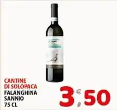 Mio Market Cantine di solopaca falanghina sannio offerta