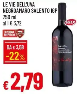 Galassia Le vie dell'uva negroamaro salento igp offerta