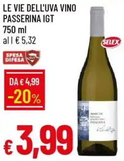 Galassia Le vie dell'uva vino passerina igt offerta