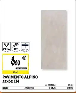 Tecnomat Pavimento alpino 31X62 cm offerta