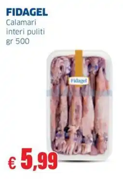 Sigma FIDAGEL Calamari interi puliti offerta