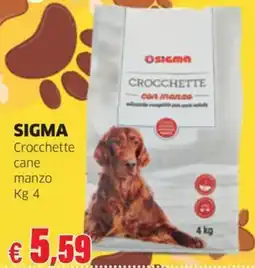 Sigma SIGMA Crocchette cane manzo offerta