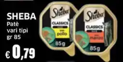 Sigma SHEBA Patè offerta