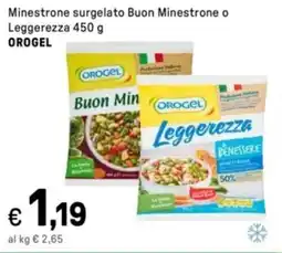 Iper La Grande Minestrone surgelato Buon Minestrone o Leggerezza OROGEL offerta
