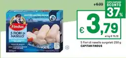 Iper La Grande 5 Fiori di nasello surgelati CAPITAN FINDUS offerta