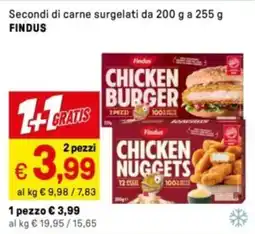 Iper La Grande Secondi di carne surgelati FINDUS offerta