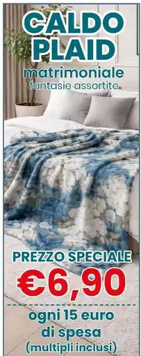 DeSpar Express CALDO PLAID matrimoniale offerta