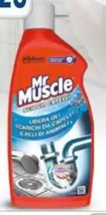 Famila Superstore MR MUSCLE scioglicapelli offerta