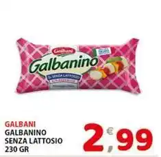 Premium Supermercati Galbani galbanino senza lattosio offerta