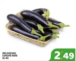 Premium Supermercati Melanzane lunghe nere offerta