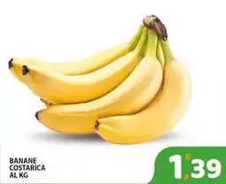 Premium Supermercati Banane costarica offerta
