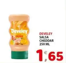 Premium Supermercati Develey salsa cheddar offerta