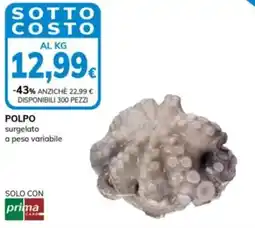 Basko Polpo surgelato a peso variabile offerta