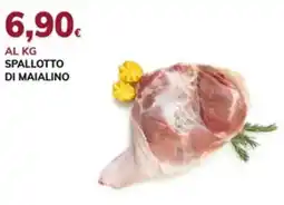 Basko Spallotto di maialino offerta