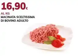 Basko Macinata sceltissima di bovino adulto offerta