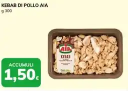 Basko Kebab di pollo AIA offerta