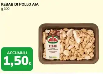 Basko Kebab di pollo AIA offerta