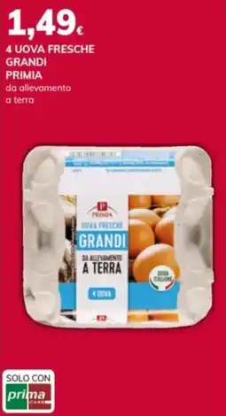 Basko 4 uova fresche grandi primia da allevamento a terra offerta